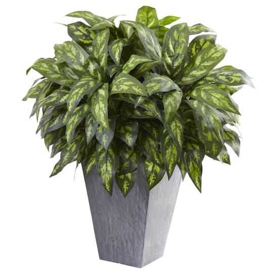 37" Silver King Plant with Slate Planter